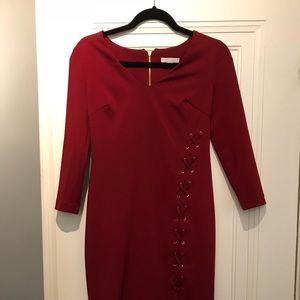 Sexy New York and company cranberry dress.